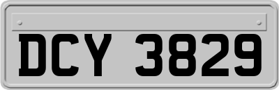 DCY3829