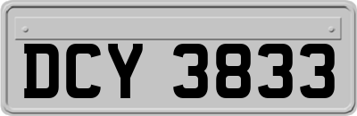 DCY3833