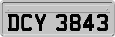 DCY3843