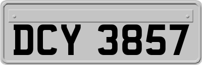 DCY3857