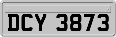 DCY3873