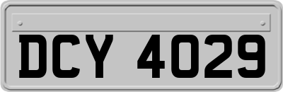 DCY4029