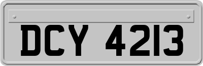 DCY4213