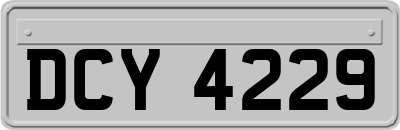 DCY4229