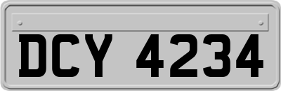 DCY4234