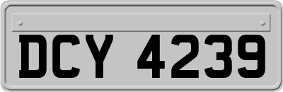 DCY4239