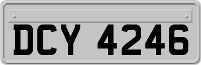 DCY4246