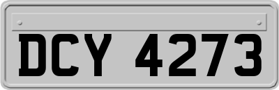 DCY4273