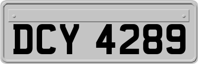 DCY4289
