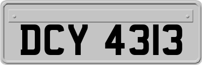 DCY4313