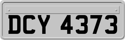 DCY4373