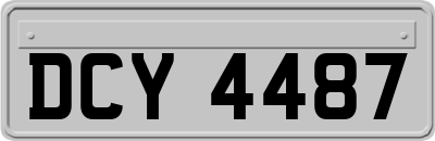 DCY4487