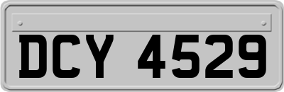 DCY4529