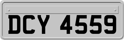 DCY4559