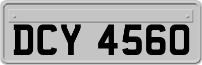 DCY4560