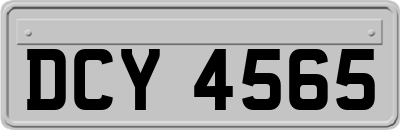 DCY4565