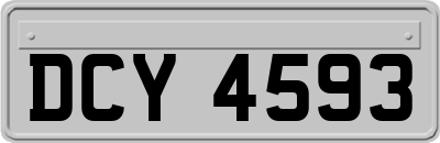 DCY4593