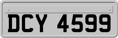 DCY4599