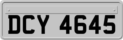 DCY4645