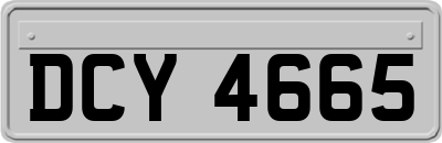 DCY4665