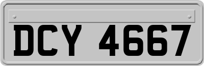 DCY4667