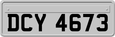 DCY4673