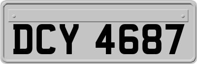 DCY4687