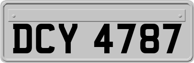 DCY4787
