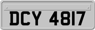 DCY4817