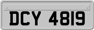 DCY4819