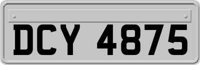 DCY4875