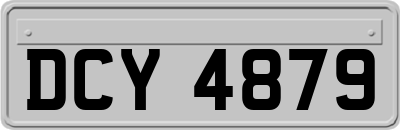 DCY4879