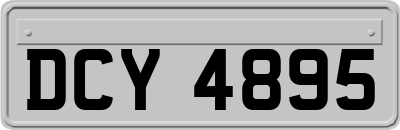 DCY4895