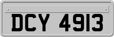 DCY4913