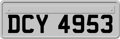 DCY4953
