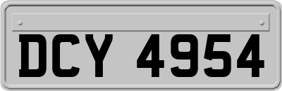DCY4954