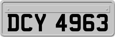 DCY4963