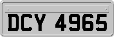 DCY4965