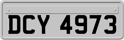 DCY4973