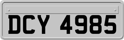 DCY4985