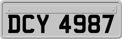 DCY4987