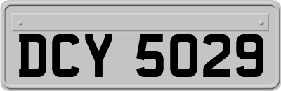 DCY5029