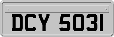 DCY5031