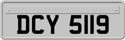 DCY5119