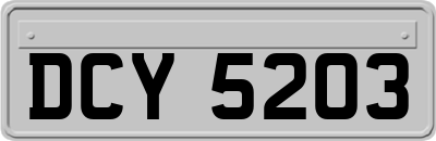 DCY5203