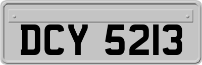 DCY5213
