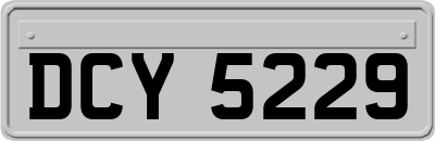 DCY5229
