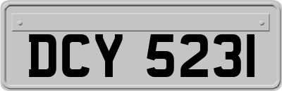 DCY5231