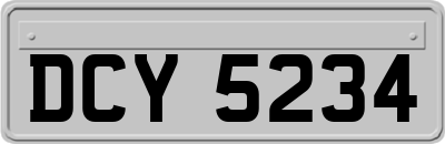 DCY5234