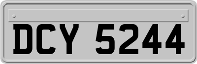 DCY5244